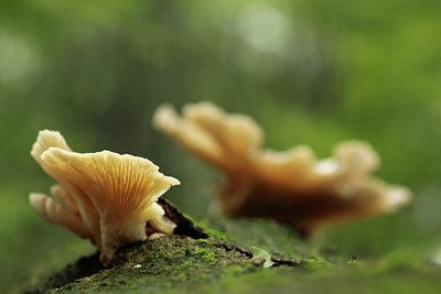 BUITEN BEELD Foto: 143178