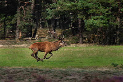 BUITEN BEELD Foto: 143187