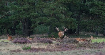 BUITEN BEELD Foto: 143191