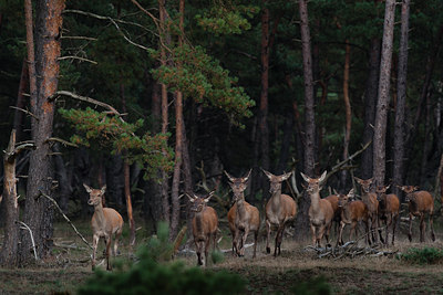 BUITEN BEELD Foto: 143192