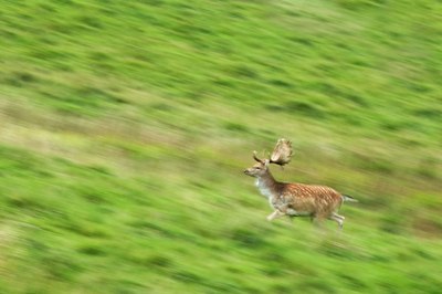 BUITEN BEELD Foto: 143246