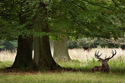 BUITEN BEELD Foto: 143250