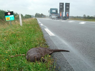 BUITEN BEELD Foto: 143267
