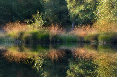 BUITEN BEELD Foto: 143272