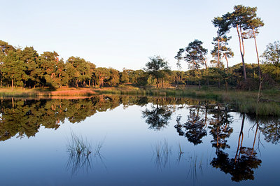 BUITEN BEELD Foto: 143274