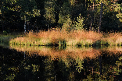 BUITEN BEELD Foto: 143275