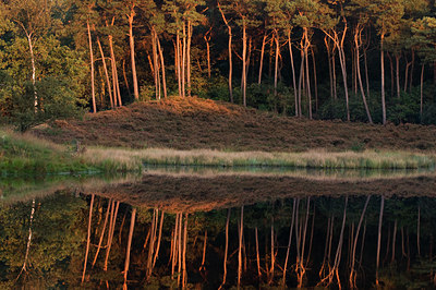 BUITEN BEELD Foto: 143277