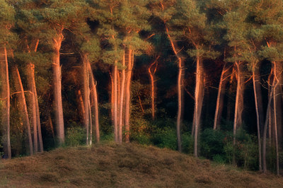 BUITEN BEELD Foto: 143279