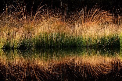 BUITEN BEELD Foto: 143283