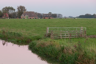 BUITEN BEELD Foto: 143286