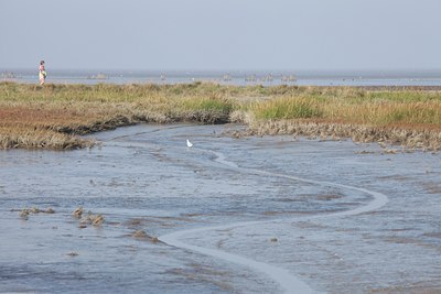 BUITEN BEELD Foto: 143293