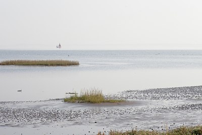 BUITEN BEELD Foto: 143318