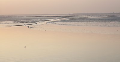 BUITEN BEELD Foto: 143321