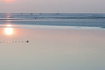 BUITEN BEELD Foto: 143323