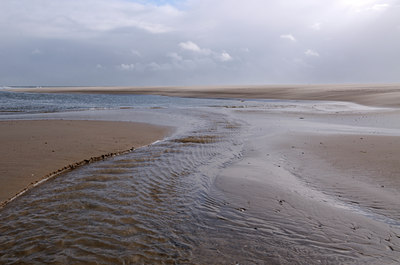 BUITEN BEELD Foto: 143333