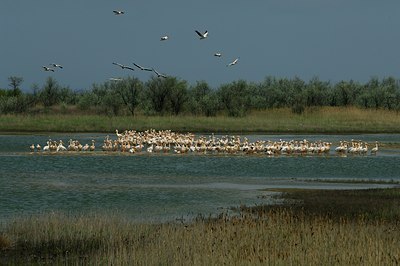 BUITEN BEELD Foto: 143365