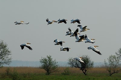 BUITEN BEELD Foto: 143368