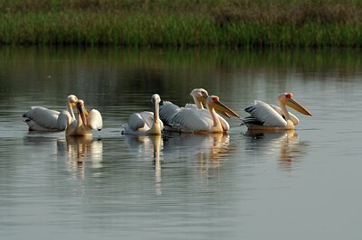 BUITEN BEELD Foto: 143374