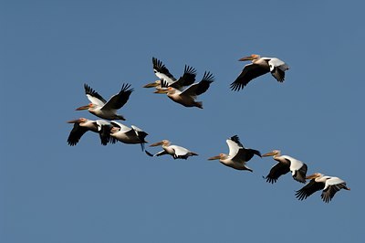 BUITEN BEELD Foto: 143378