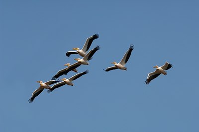 BUITEN BEELD Foto: 143383