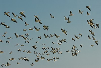 BUITEN BEELD Foto: 143392