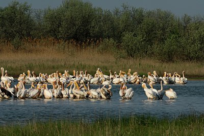 BUITEN BEELD Foto: 143395
