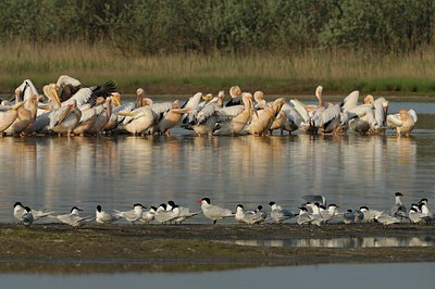 BUITEN BEELD Foto: 143403