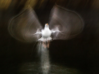 BUITEN BEELD Foto: 143420