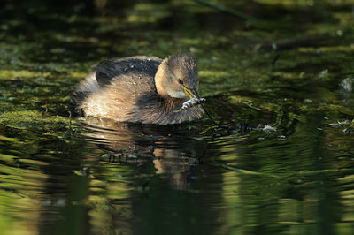 BUITEN BEELD Foto: 143425