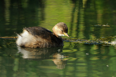 BUITEN BEELD Foto: 143426