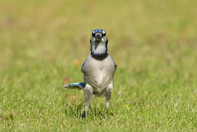 BUITEN BEELD Foto: 143498