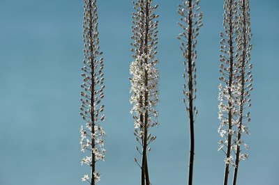 BUITEN BEELD Foto: 143572