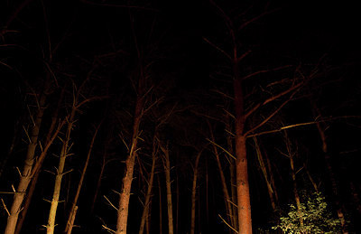 BUITEN BEELD Foto: 143574