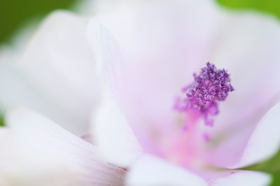 BUITEN BEELD Foto: 143658