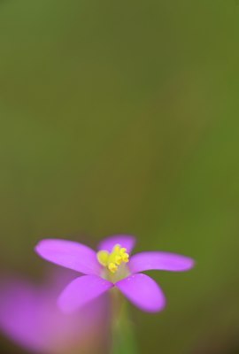 BUITEN BEELD Foto: 143660