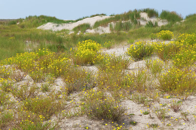 BUITEN BEELD Foto: 143670