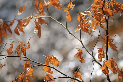 BUITEN BEELD Foto: 143739