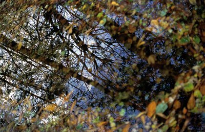 BUITEN BEELD Foto: 143752