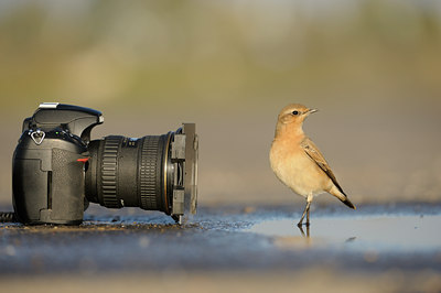 BUITEN BEELD Foto: 143828