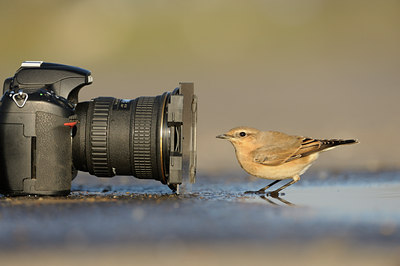 BUITEN BEELD Foto: 143830