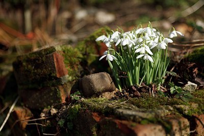 BUITEN BEELD Foto: 143853
