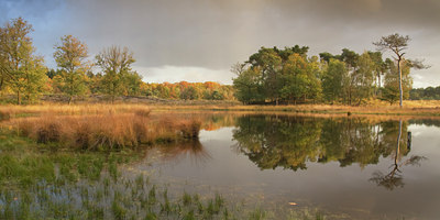 BUITEN BEELD Foto: 143880