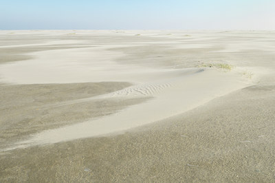 BUITEN BEELD Foto: 143920