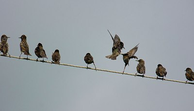 BUITEN BEELD Foto: 143962