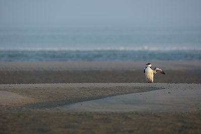 BUITEN BEELD Foto: 143974