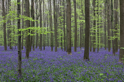 BUITEN BEELD Foto: 144175