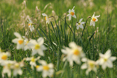 BUITEN BEELD Foto: 144346