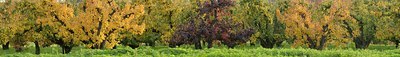 BUITEN BEELD Foto: 144374