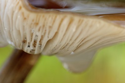 BUITEN BEELD Foto: 144412
