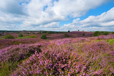 BUITEN BEELD Foto: 144429